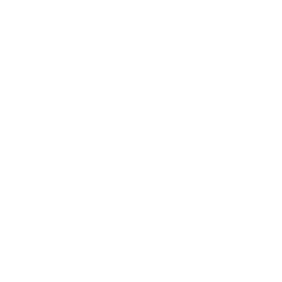 DiecastTalk